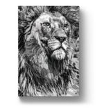 Bíblia Ntlh Youversion The Lion P&b | Capa Soft Touch