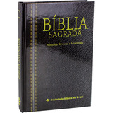 Biblia Sagrada Almeida Revista
