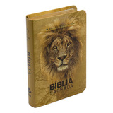 Biblia Sagrada Ara