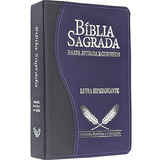Biblia Sagrada Com Harpa