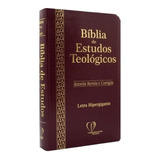 Biblia Sagrada Estudos Teologicos