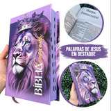 Biblia Sagrada Evangelica Feminina
