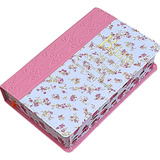 Biblia Sagrada Feminina Letra