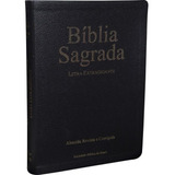 Biblia Sagrada Letra Extra