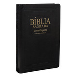 Biblia Sagrada Letra Gigante