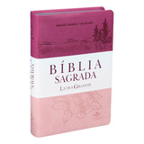 Biblia Sagrada Letra Gigante