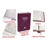 Biblia Sagrada Letra Gigante