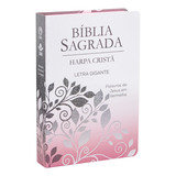 Bíblia Sagrada Letra Gigante Com Harpa Cristã Capa Semiflexível Ilustrada Ramo Almeida Revista E Corrigida (arc) Editorial Sociedade Bíblica Do Brasil Sbb Tapa Dura En Português 2021