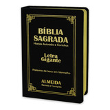 Biblia Sagrada Letra Gigante