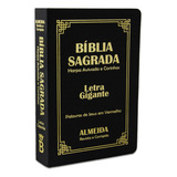 Biblia Sagrada Letra Gigante