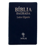 Biblia Sagrada Letra Gigante