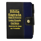 Biblia Sagrada Letra Grande
