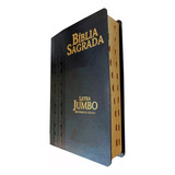 Biblia Sagrada Letra Jumbo