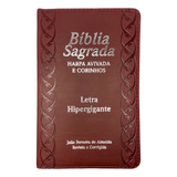 Biblia Sagrada Masculina Letra