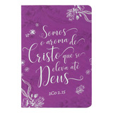 Biblia Sagrada N V