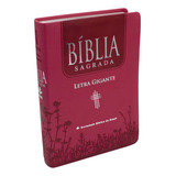Biblia Sagrada Ntlh 