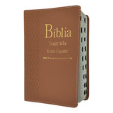 Biblia Sagrada Ntlh Letra