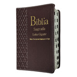 Biblia Sagrada Ntlh Letra