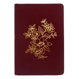 Biblia Sagrada Nvi