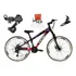 Bicicleta 26 Vikingx Tuff 21v Shimano Freio Hidráulico Vmaxx