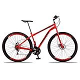 Bicicleta Aro 29 Ravok