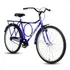 Bicicleta Barra Forte Circular Aro 26 Rural Stone Original