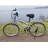 Bicicleta Caloi 100 Sport 21v Aro 26 Feminina V-brake