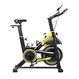 Bicicleta Ergométrica Spinning Magnética Gallant Elite Roda De Inércia 13 Kg  Gsb13hmga Pt 