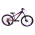 Bicicleta Freeride Grau Camaleao Gta Aro 26 Disco Cor Camaleão Roxo Tamanho Do Quadro 13.5