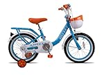 Bicicleta Infantil Pro X Missy Vintage Aro 16 Com Rodinhas Cor:azul/marrom