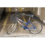 Bicicleta Sundown Top Model