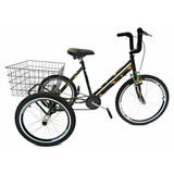 Bicicleta Triciclo Aro 24