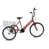 Bicicleta Triciclo Aro 24 - Super Luxo - 6 Opções De Cores*