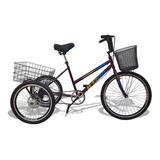 Bicicleta Triciclo Deluxe Wendy