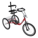 Bicicleta Triciclo Infantil Especial