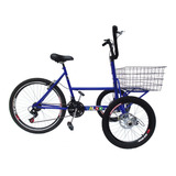 Bicicleta Triciclo Invertido Aro 26 21 Marchas 7 Cores 
