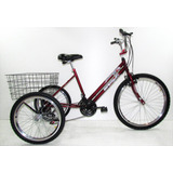 Bicicleta Triciclo Luxo Aro 26 Completo 21 Marchas Rebaixado