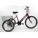 Bicicleta Triciclo Luxo Aro