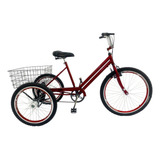 Bicicleta Triciclo Luxo Aro