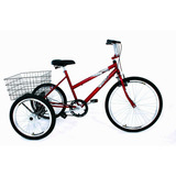 Bicicleta Triciclo Luxo Aro