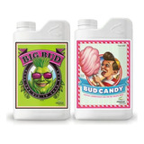 Big Bud Bud Candy