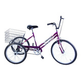 Bike Bicicleta Triciclo Adulto
