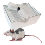 Bioterio Camundongos Ratos Mercol