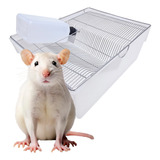 Bioterio Ratos Camundongos Mercol