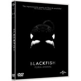 Blackfish Furia