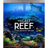 Blu Ray 4k Ultra Hd The Last Reef: Cities Beneath The Sea