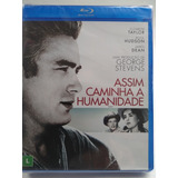 Blu ray Assim Caminha