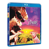 Blu ray Babe