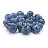 Blueberry Southern Mirtilo De
