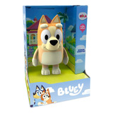 Bluey Bingo Falilia Caozinho